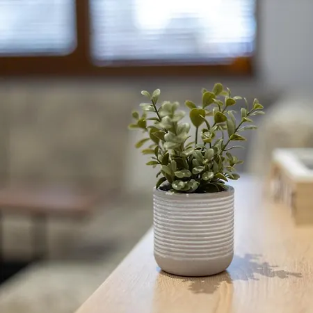 E-home Lägenhet Varna