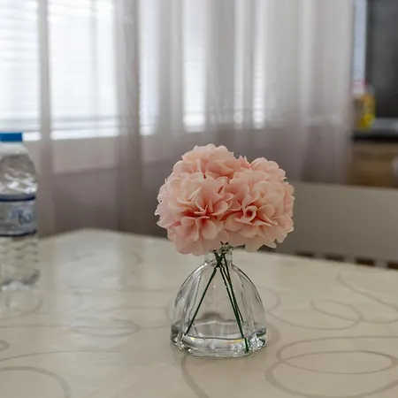Apartman E-home *